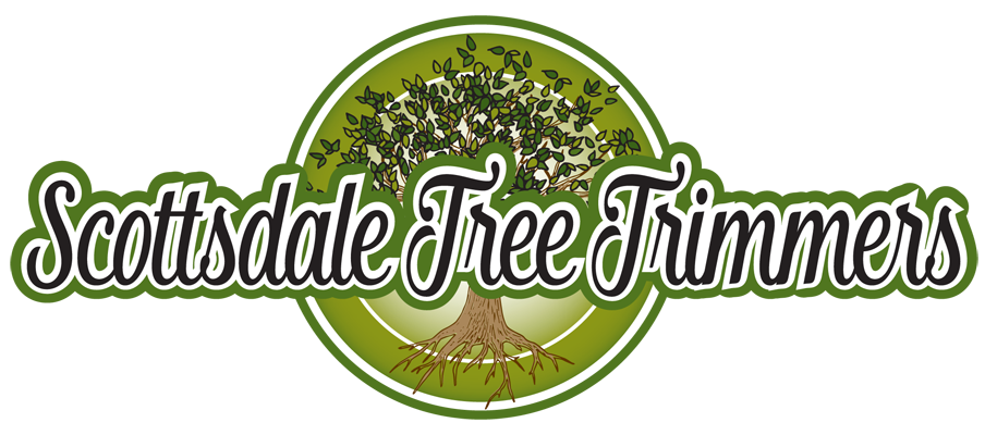 Scottsdale Tree Trimmers, Paradise Valley & Scottsdale Tree Trimming & Tree Removal Service
