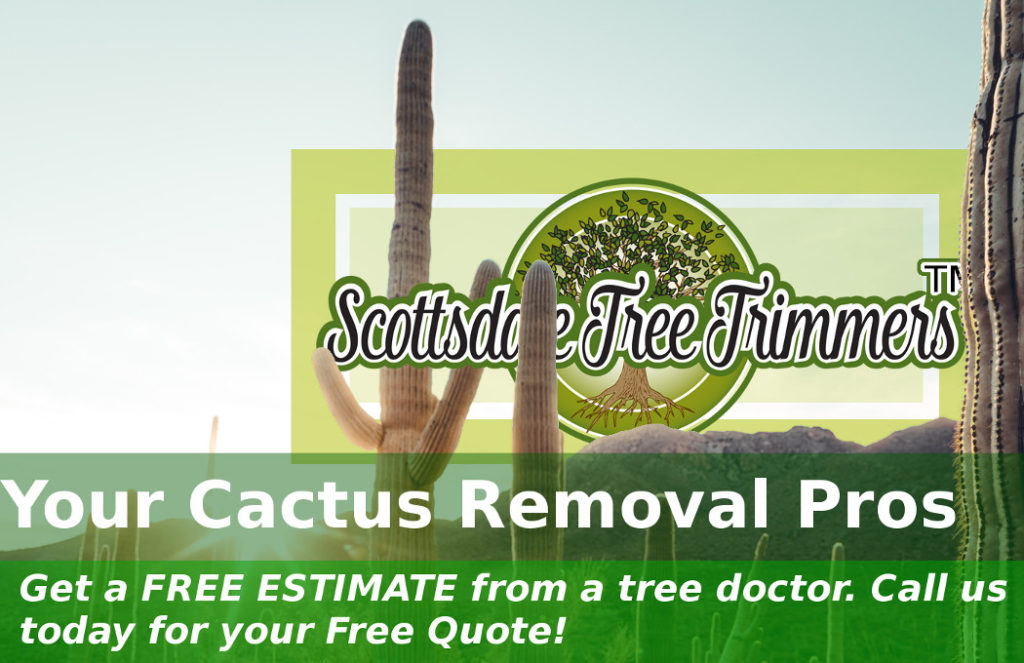 Need Saguaro Cactus Removal near me in Scottsdale, Az? Call our cactus removal pros!