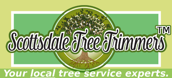 Scottsdale Tree Trimmers(TM) Tree Service, your local top-rated tree service logo