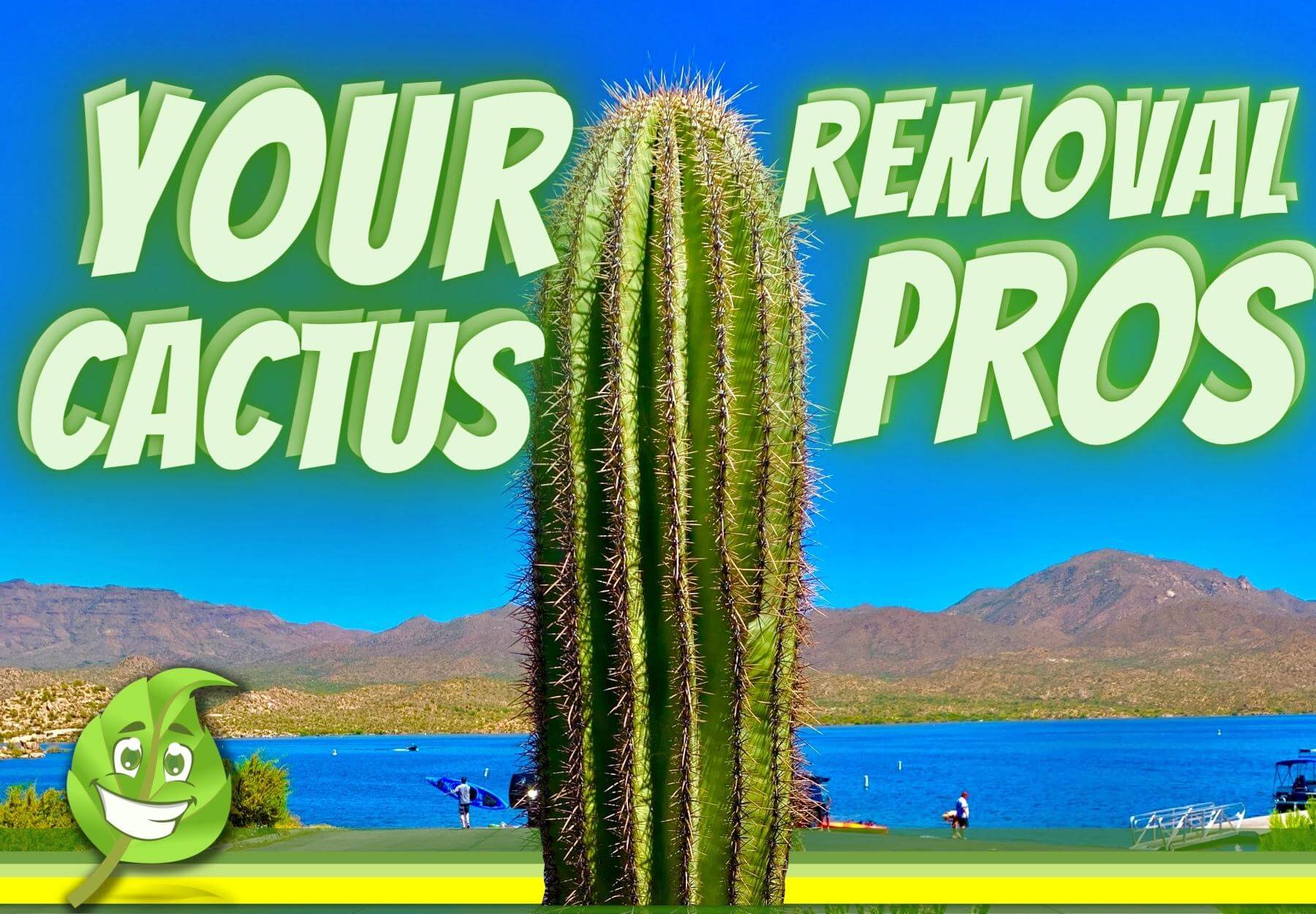 Cactus Removal Service Near Me