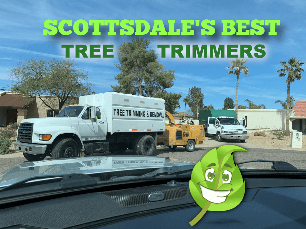 Tree Trimmers Scottsdale Az