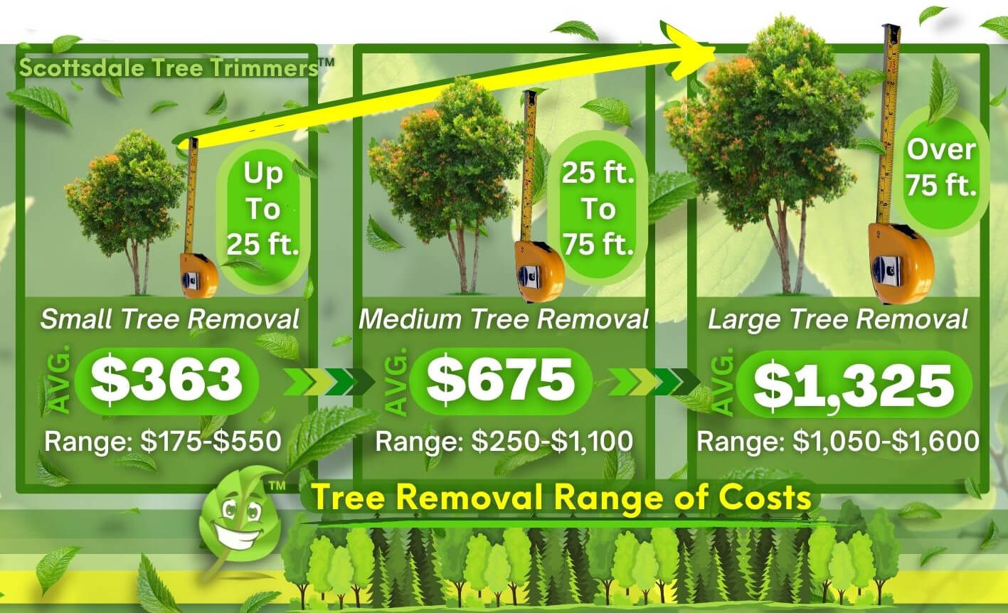 Tree Removal Cost Range