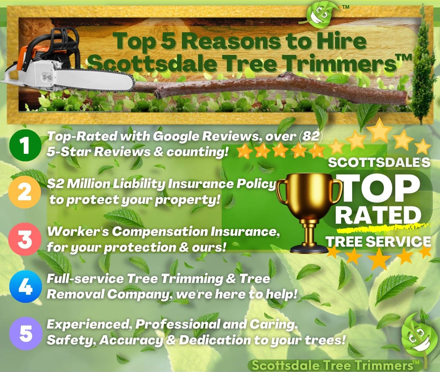 How to hire a tree trimming & removal service Infographic