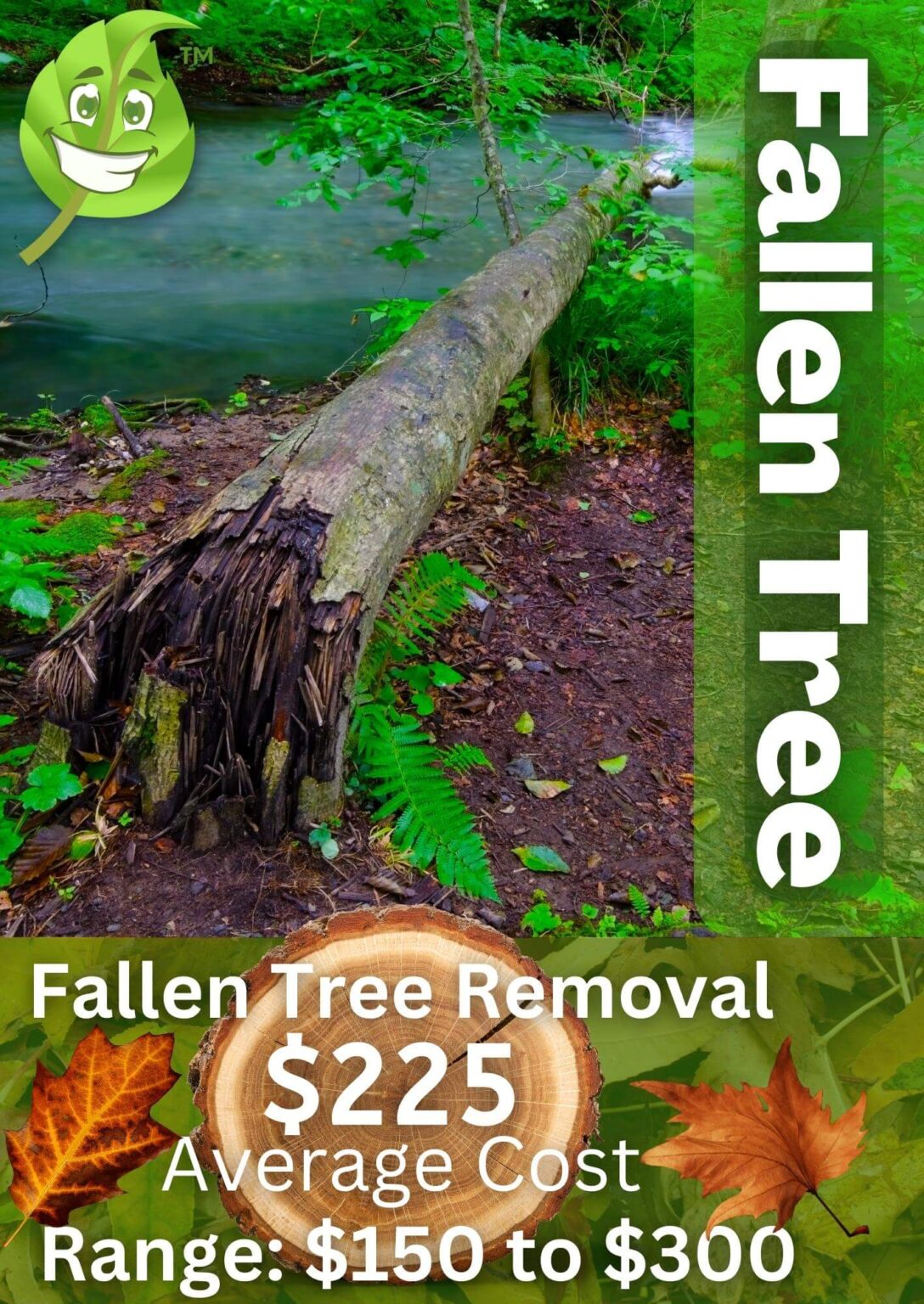 Fallen Tree Removal Average Cost in 2023