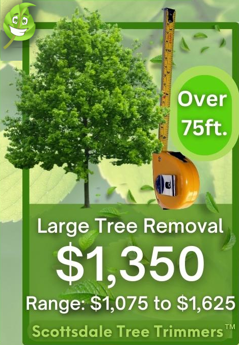 Large Tree Removal Cost in 2023