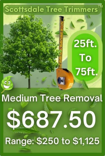 Medium Tree Removal Average Cost in 2023