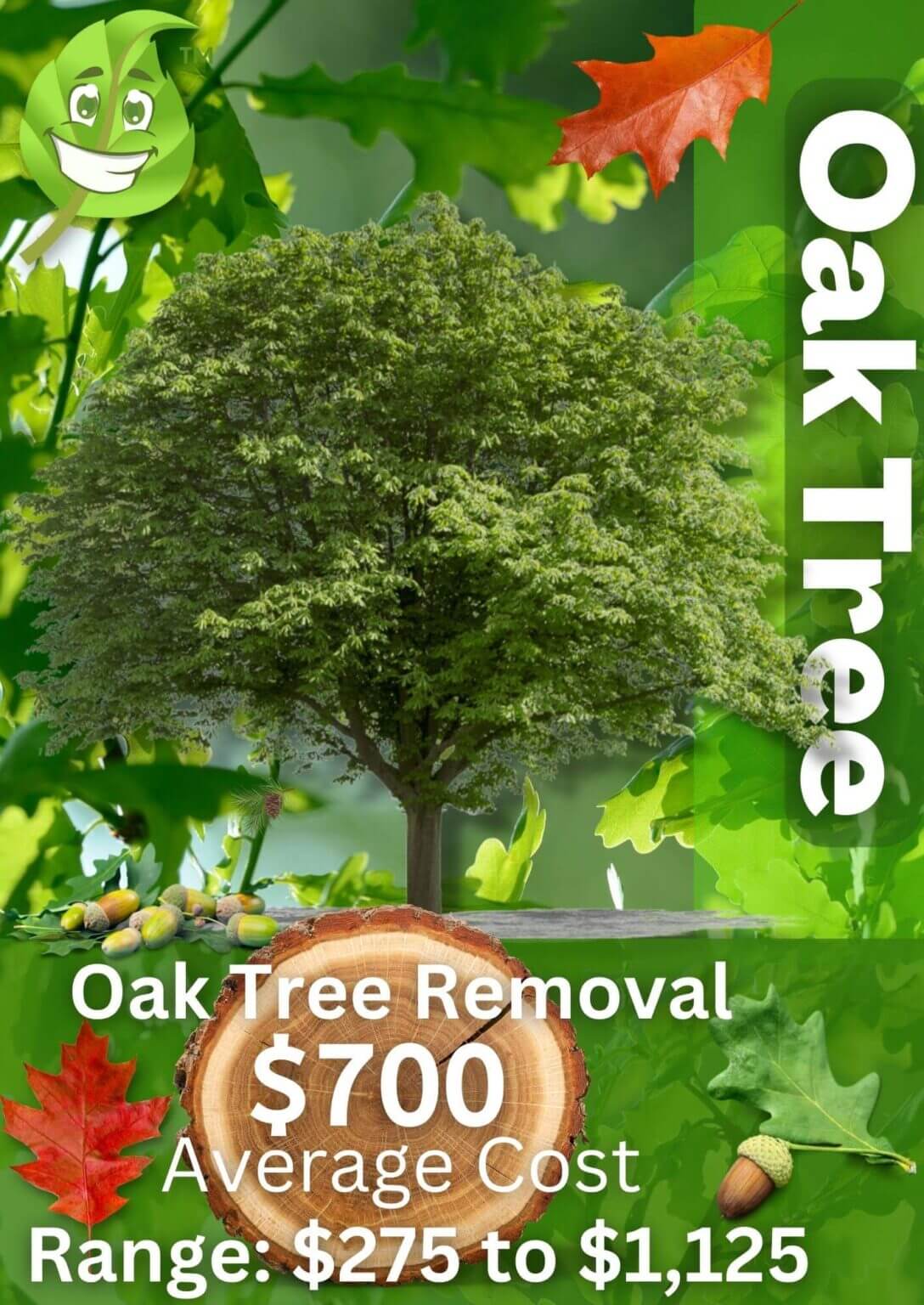 Oak Tree Removal Average Cost in 2023