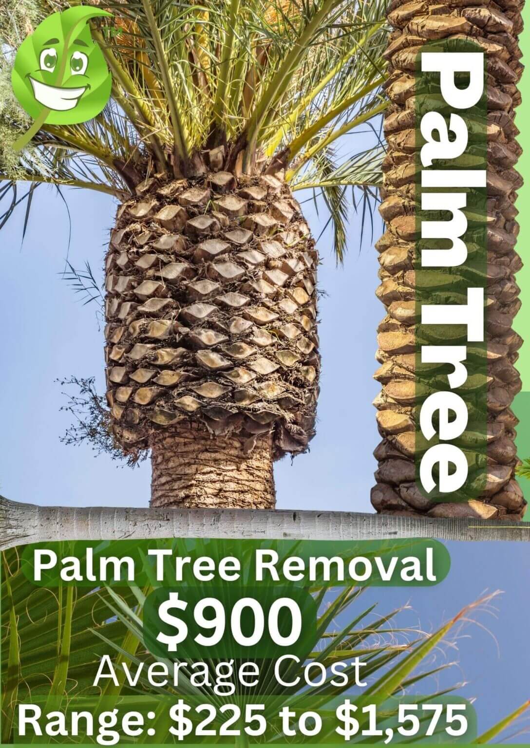 Palm Tree Removal Cost in 2023