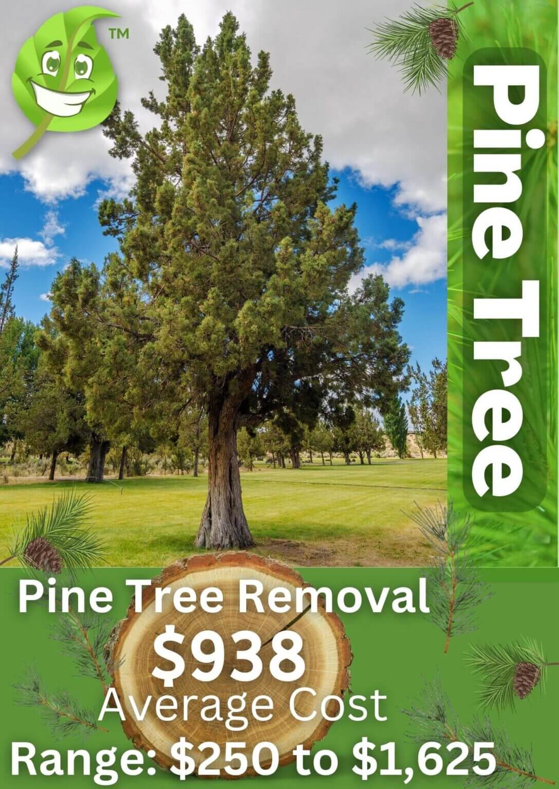 Pine Tree Removal Average Cost in 2023