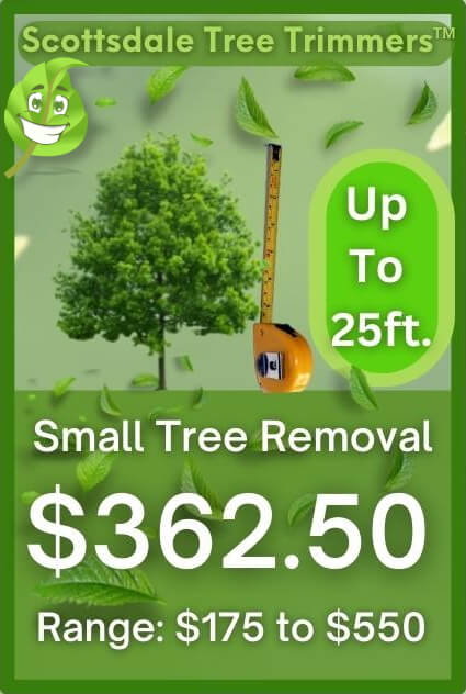 Small Tree Removal Cost in 2023