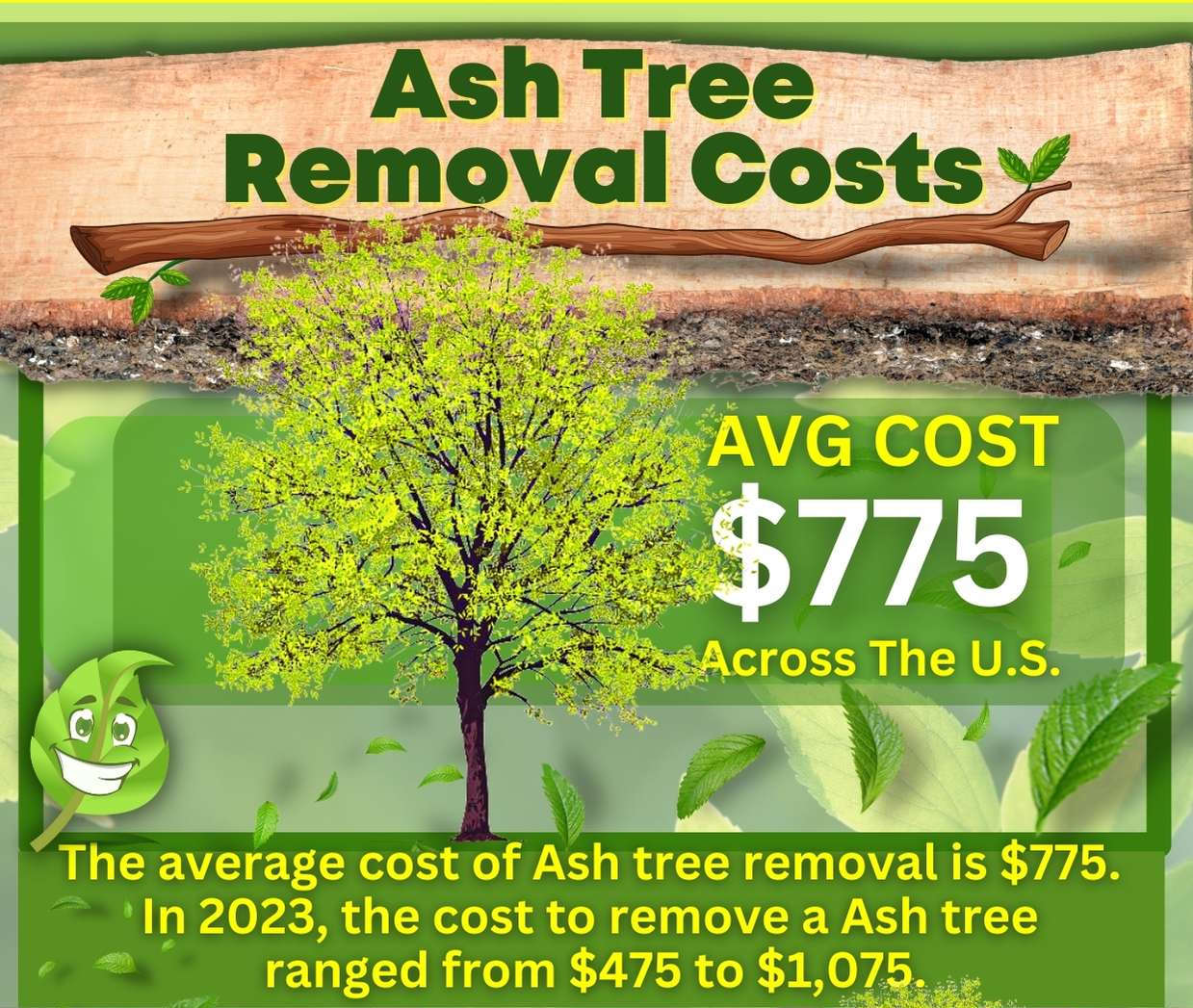 Ash Tree Removal Cost