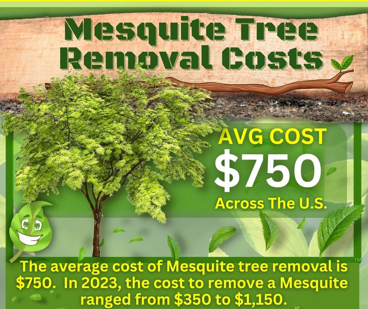 Mesquite Tree Removal Cost