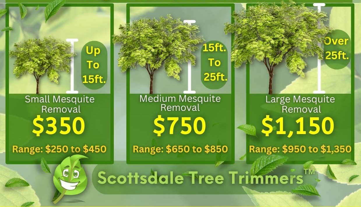 Mesquite Tree Removal Cost By Size