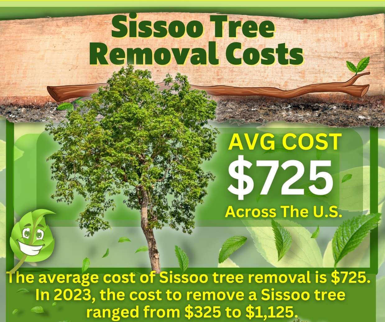 Sissoo Tree Removal Cost