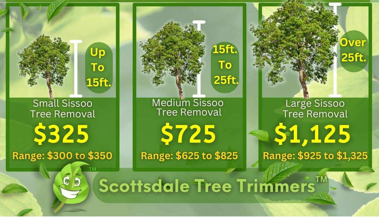 Sissoo Tree Removal Cost By Size