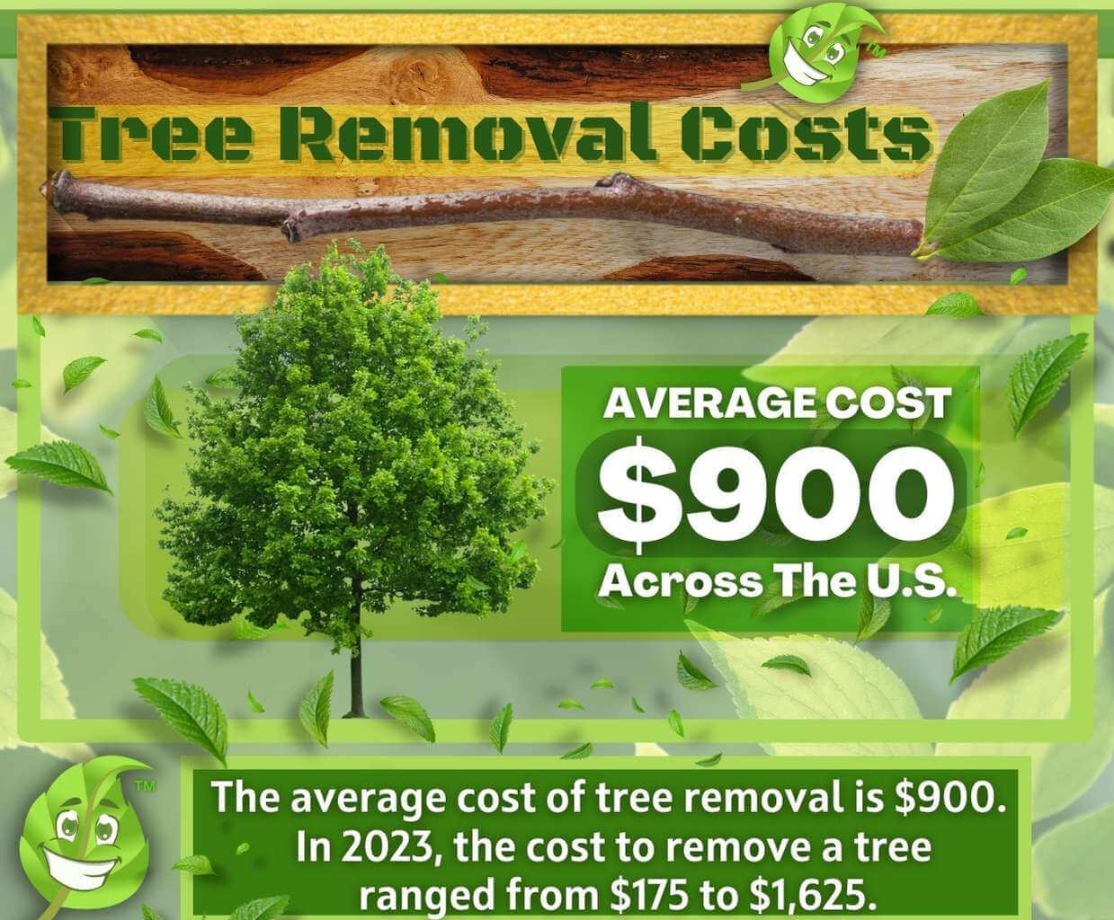 Tree Removal Cost Range in 2023