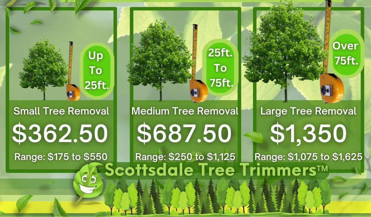 Tree Removal Cost Range By Size in 2023
