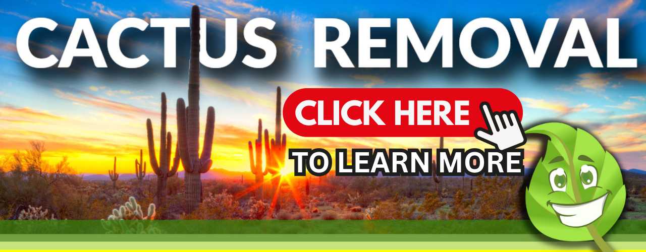 CACTUS REMOVAL Scottsdale