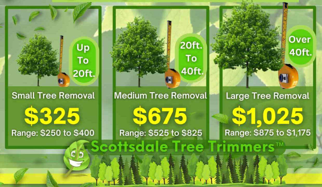 Tree Removal Cost
