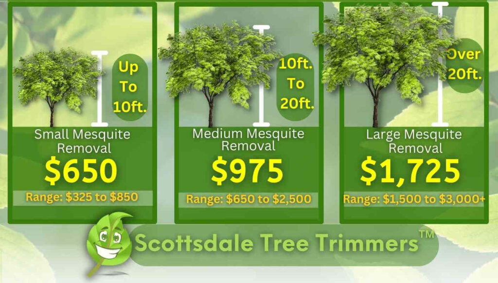 Mesquite Tree Removal Scottsdale AZ