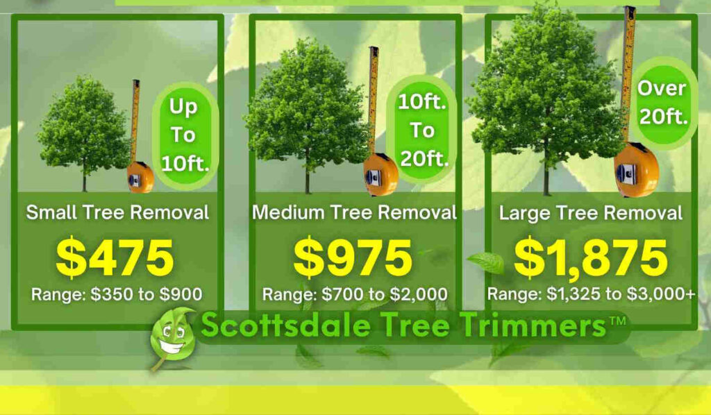 Tree Removal Scottsdale Cost