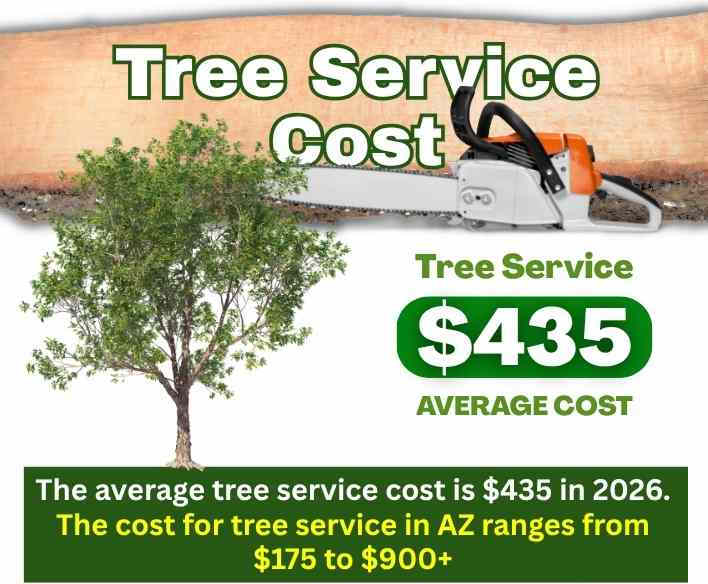 Cost of Tree Service Az