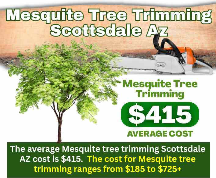 Mesquite tree trimming Scottsdale