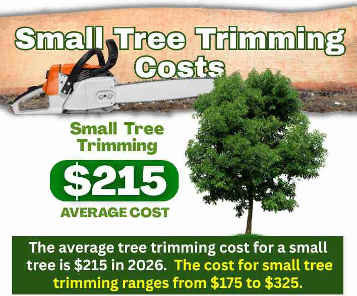 Small Tree Trimming Cost in AZ