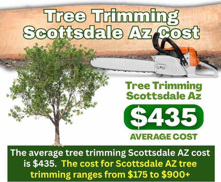 Tree Trimming Scottsdale AZ Cost