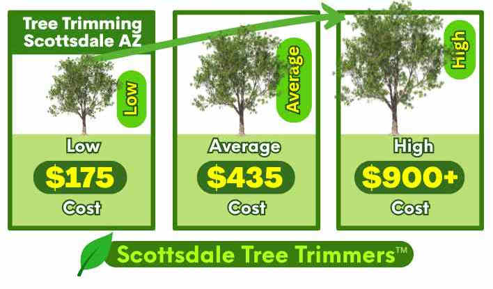 Tree Trimming Scottsdale Az Cost